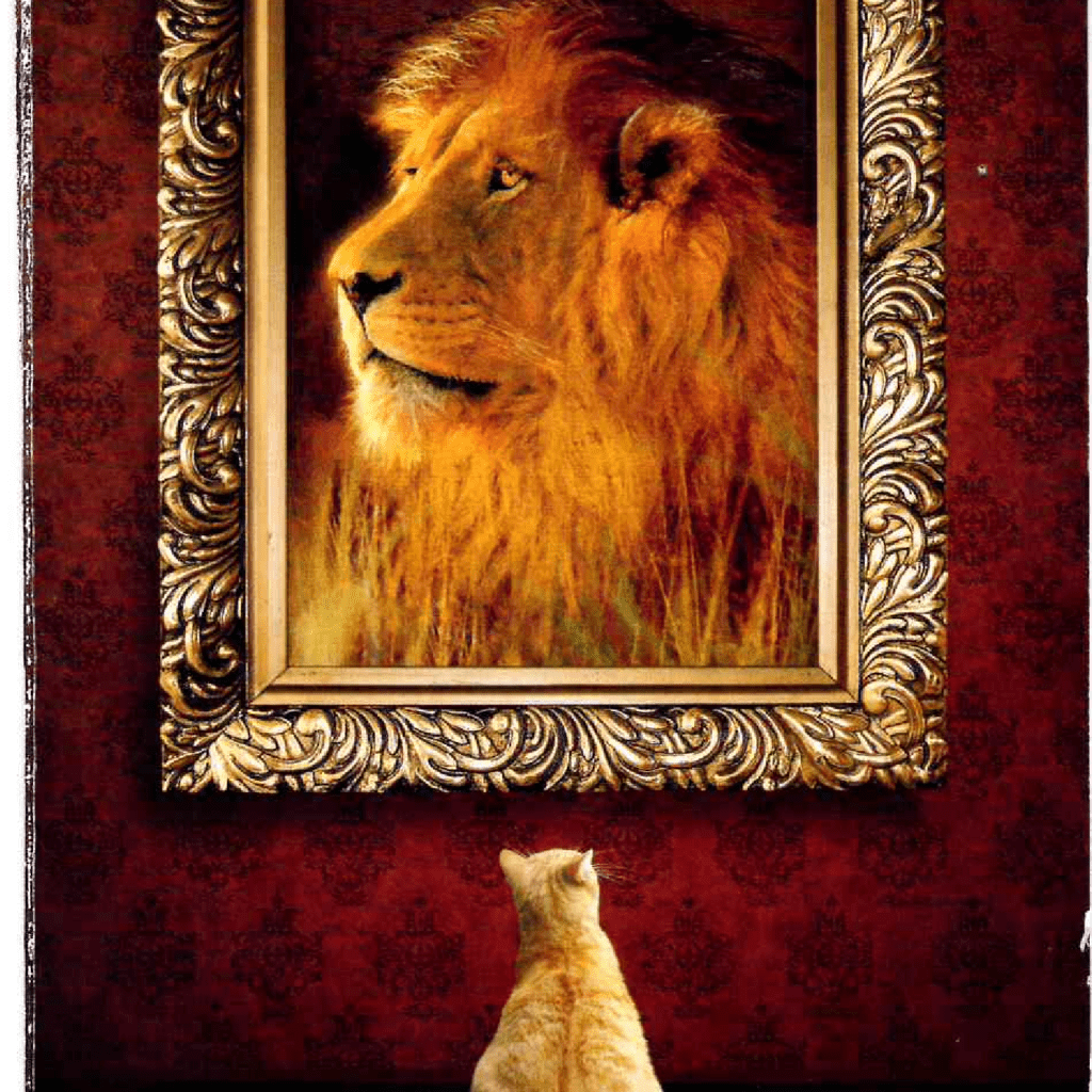 Cat Looking at the Lion Photo frame on Wall