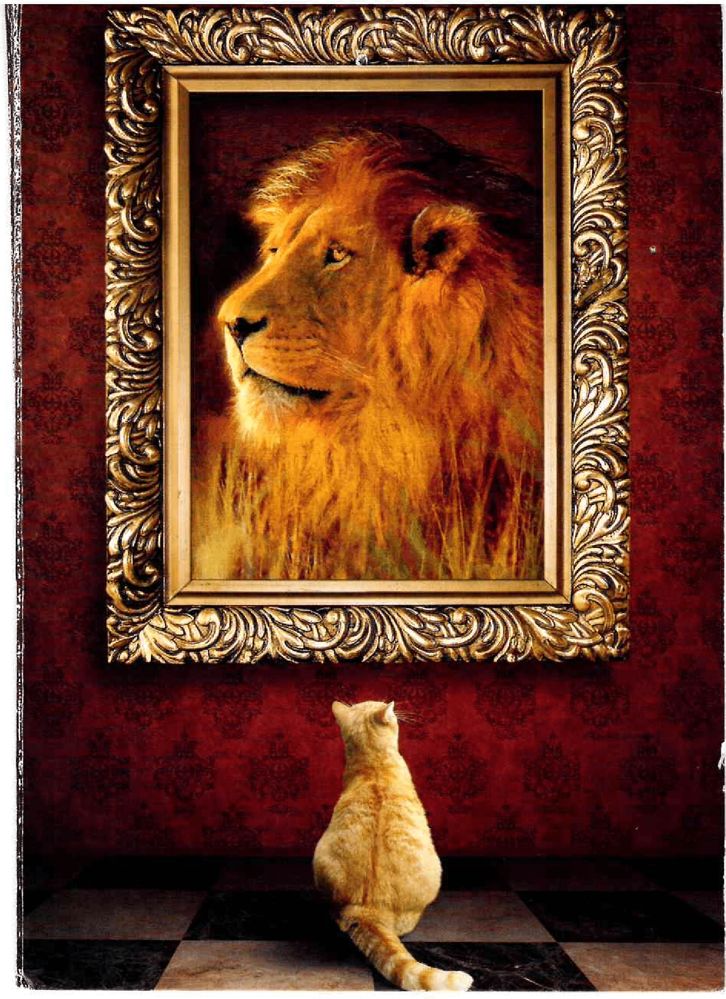 Cat Looking at the Lion Photo frame on Wall